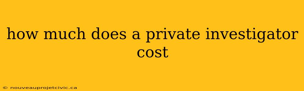 how much does a private investigator cost