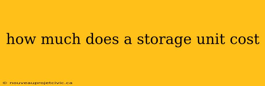 how much does a storage unit cost