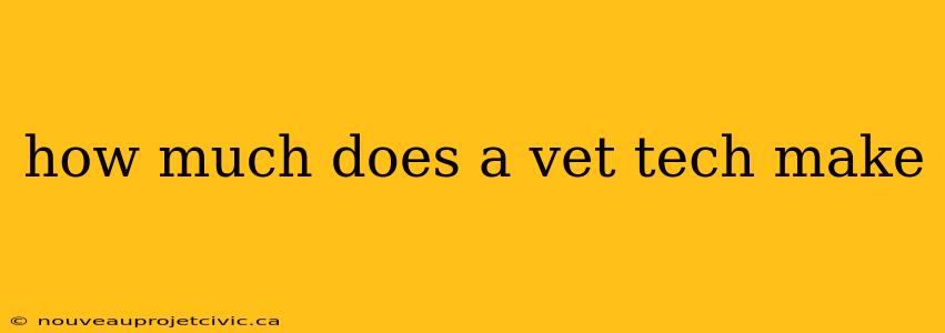 how much does a vet tech make