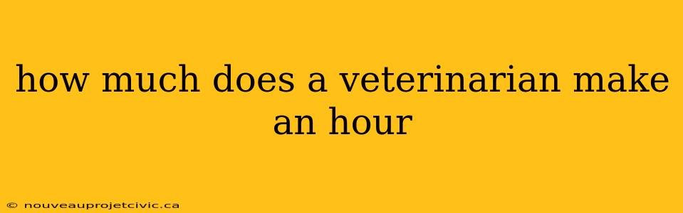 how much does a veterinarian make an hour