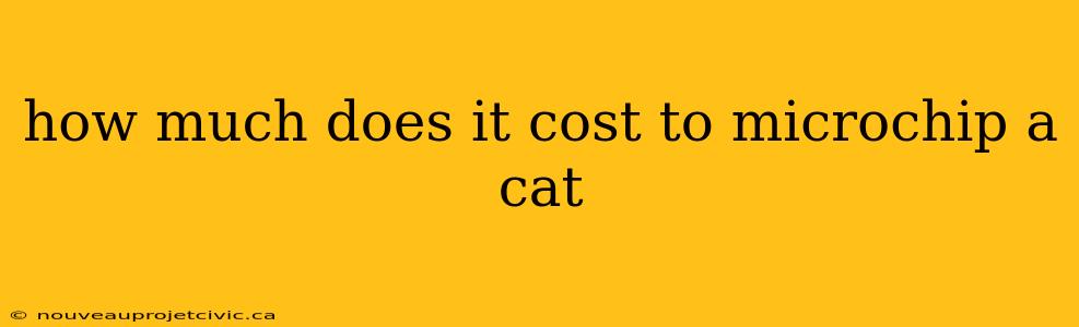 how much does it cost to microchip a cat