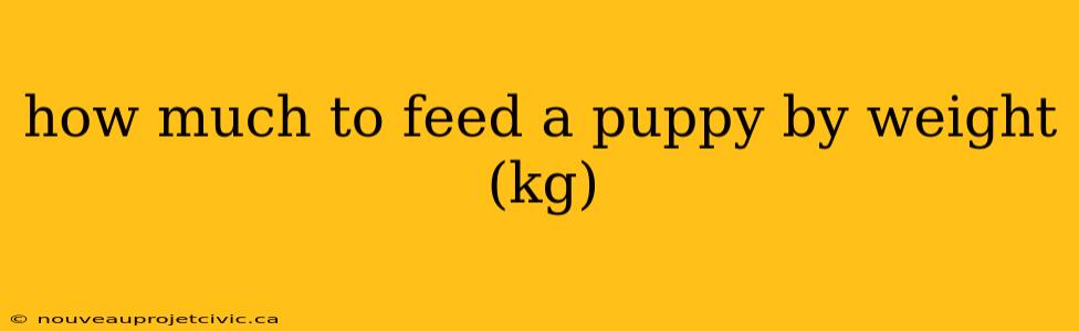 how much to feed a puppy by weight (kg)