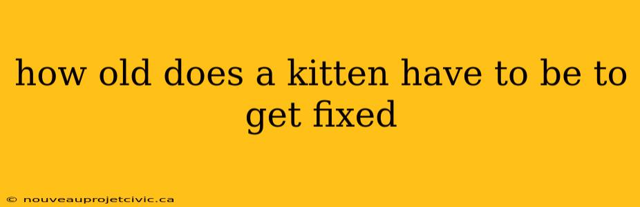 how old does a kitten have to be to get fixed