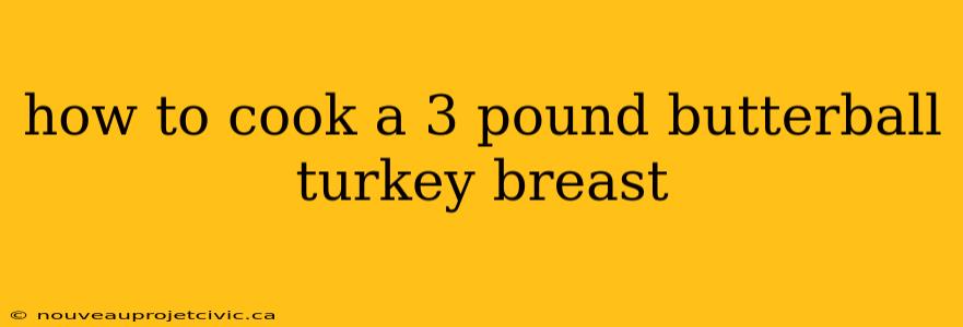 how to cook a 3 pound butterball turkey breast