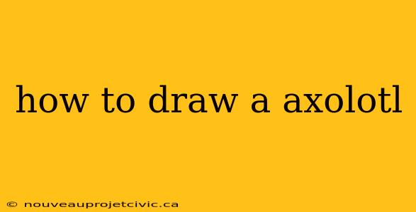 how to draw a axolotl