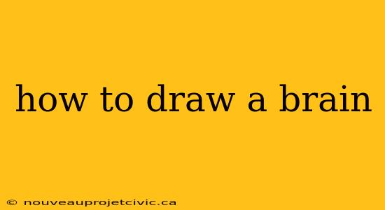 how to draw a brain