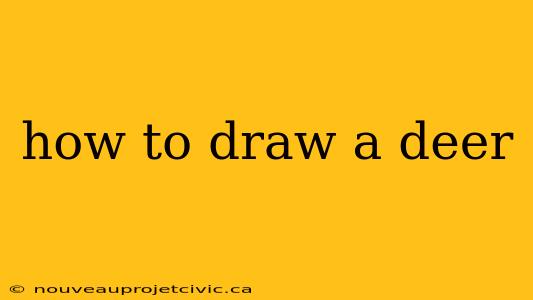 how to draw a deer