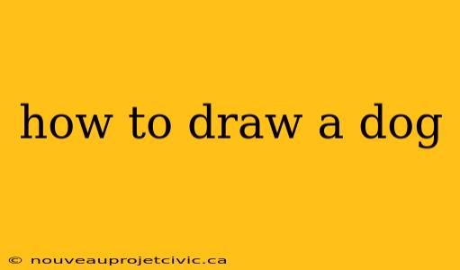 how to draw a dog