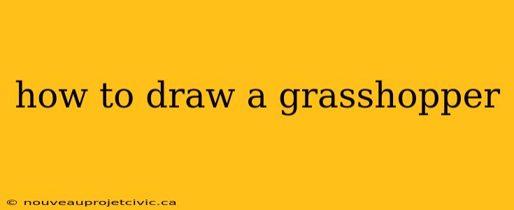 how to draw a grasshopper