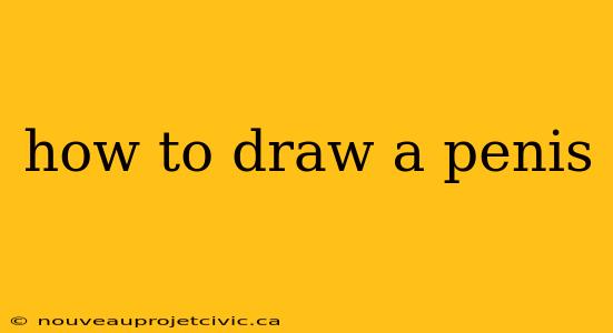 how to draw a penis