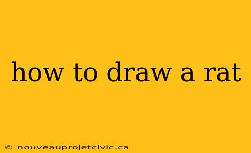 how to draw a rat