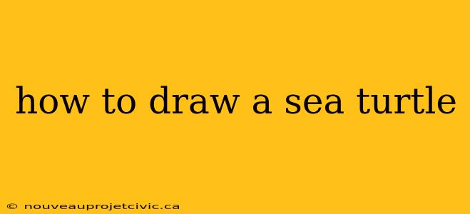 how to draw a sea turtle