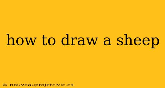 how to draw a sheep