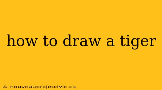 how to draw a tiger