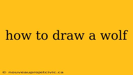 how to draw a wolf