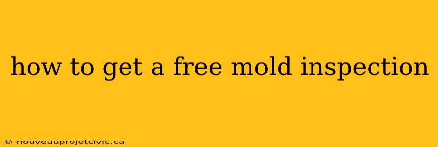 how to get a free mold inspection