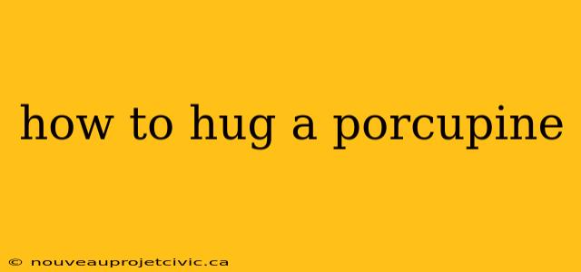 how to hug a porcupine