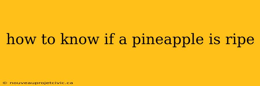 how to know if a pineapple is ripe