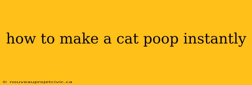 how to make a cat poop instantly