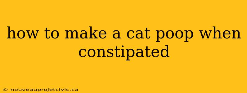 how to make a cat poop when constipated