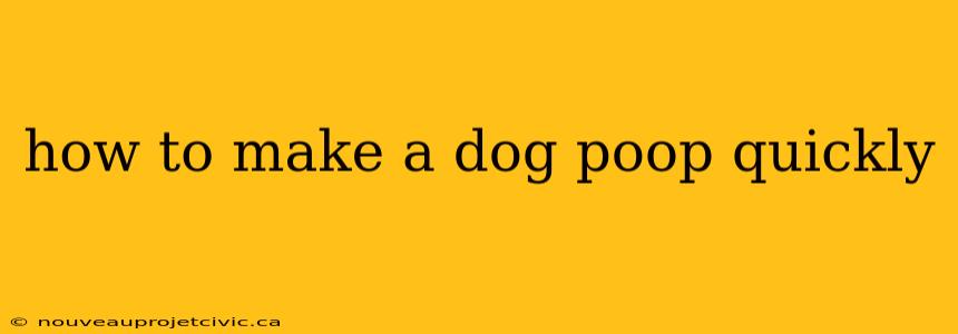 how to make a dog poop quickly