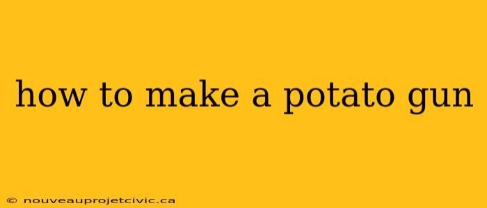 how to make a potato gun