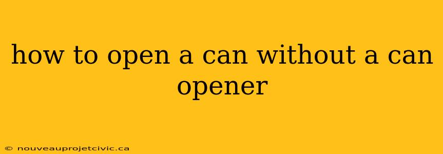 how to open a can without a can opener