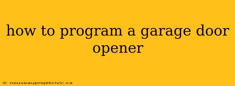 how to program a garage door opener