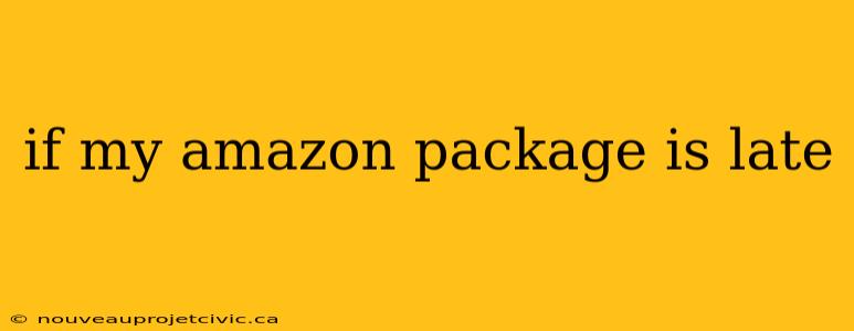 if my amazon package is late