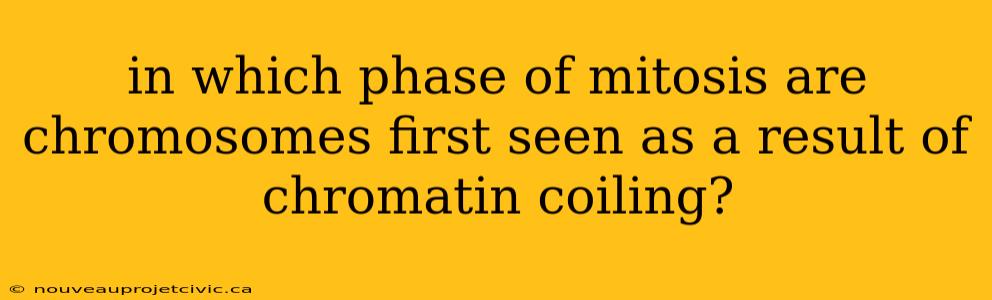 in which phase of mitosis are chromosomes first seen as a result of chromatin coiling?