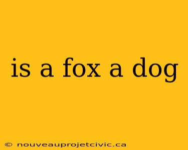 is a fox a dog