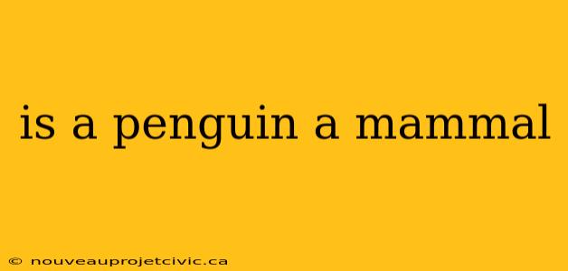 is a penguin a mammal