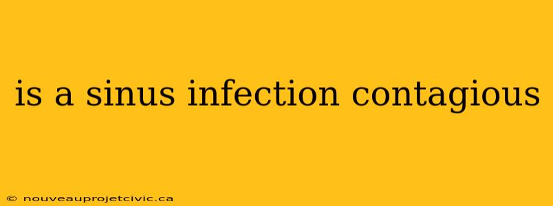 is a sinus infection contagious