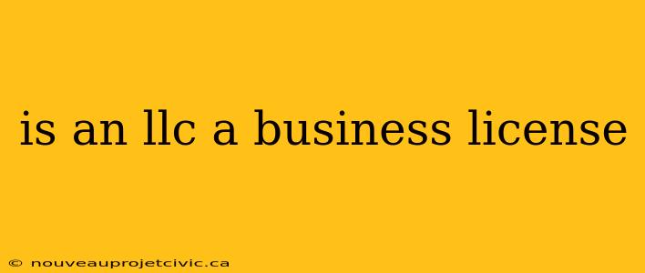 is an llc a business license