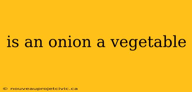 is an onion a vegetable