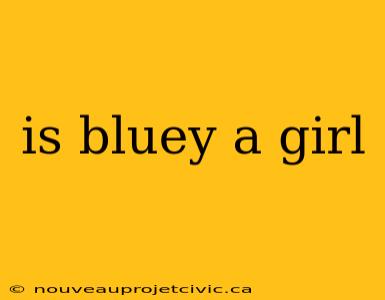 is bluey a girl