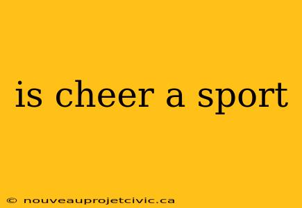 is cheer a sport