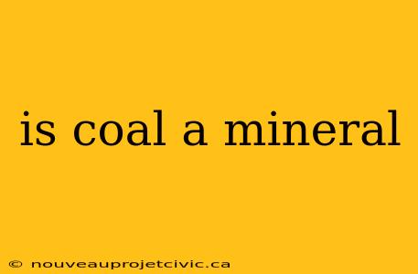 is coal a mineral