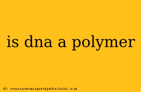 is dna a polymer