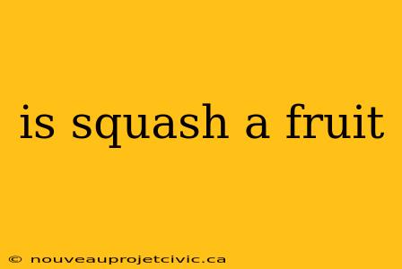 is squash a fruit