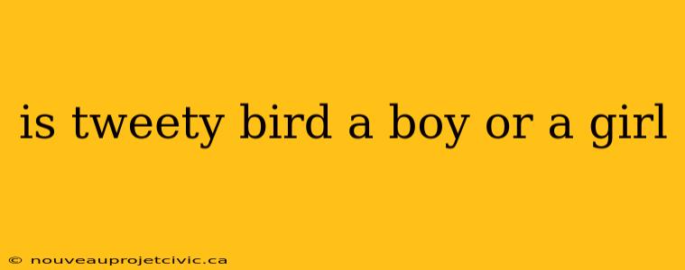 is tweety bird a boy or a girl