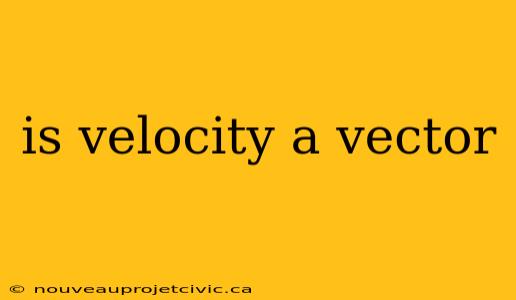 is velocity a vector