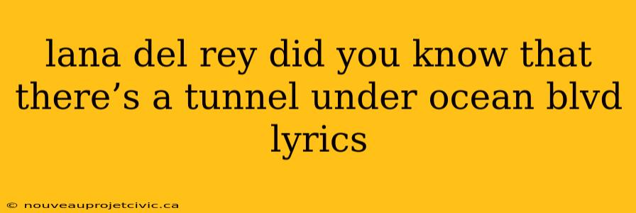 lana del rey did you know that there’s a tunnel under ocean blvd lyrics