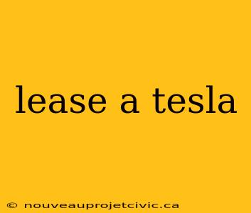 lease a tesla