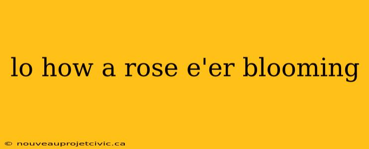 lo how a rose e'er blooming