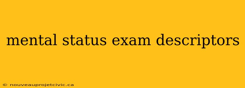 mental status exam descriptors