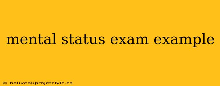 mental status exam example