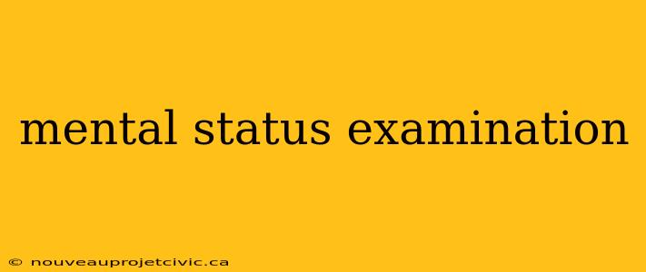 mental status examination