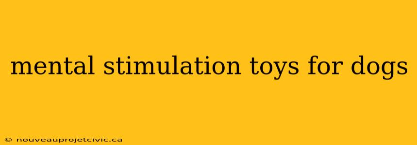 mental stimulation toys for dogs