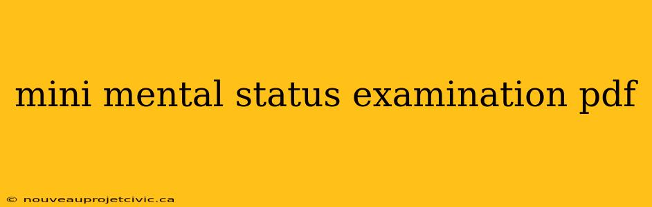 mini mental status examination pdf